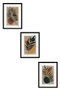 Wallity Huhu483S Pintura Decorativa en MDF con Marco (3 Piezas) 50 x 70 cm